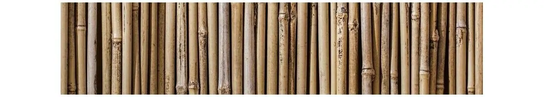 Bois de Bambou